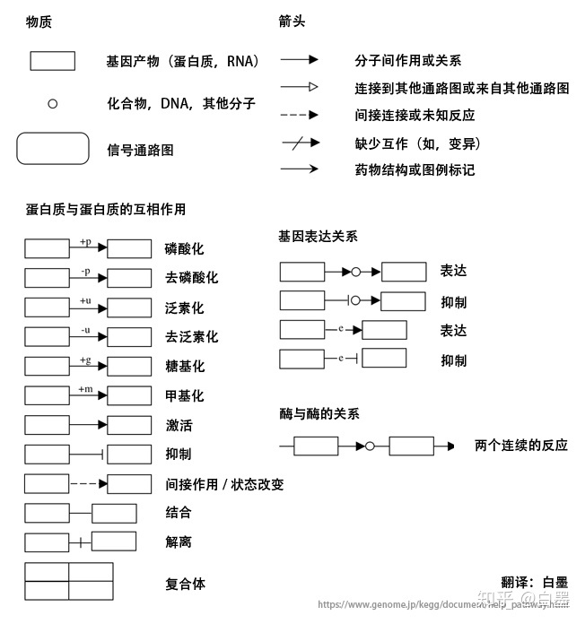 TCA_notes