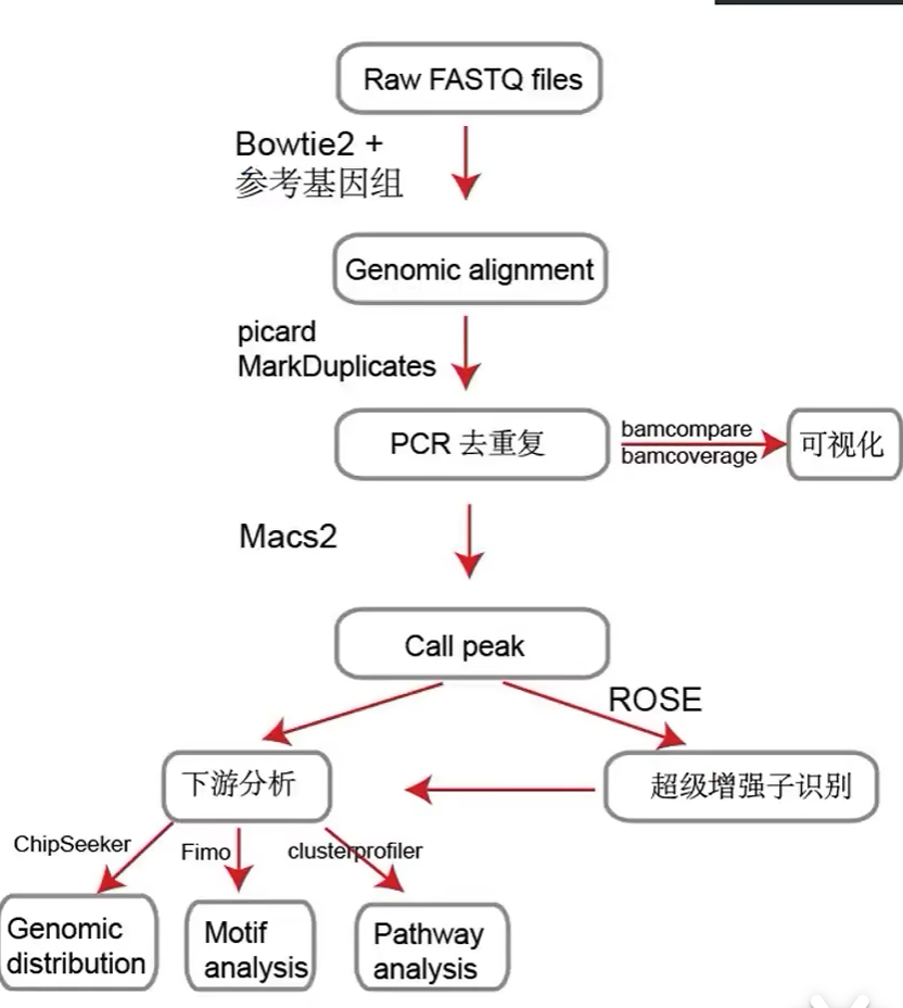 Chip-seq数据处理流程