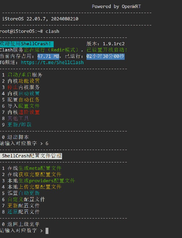 shellclash命令行